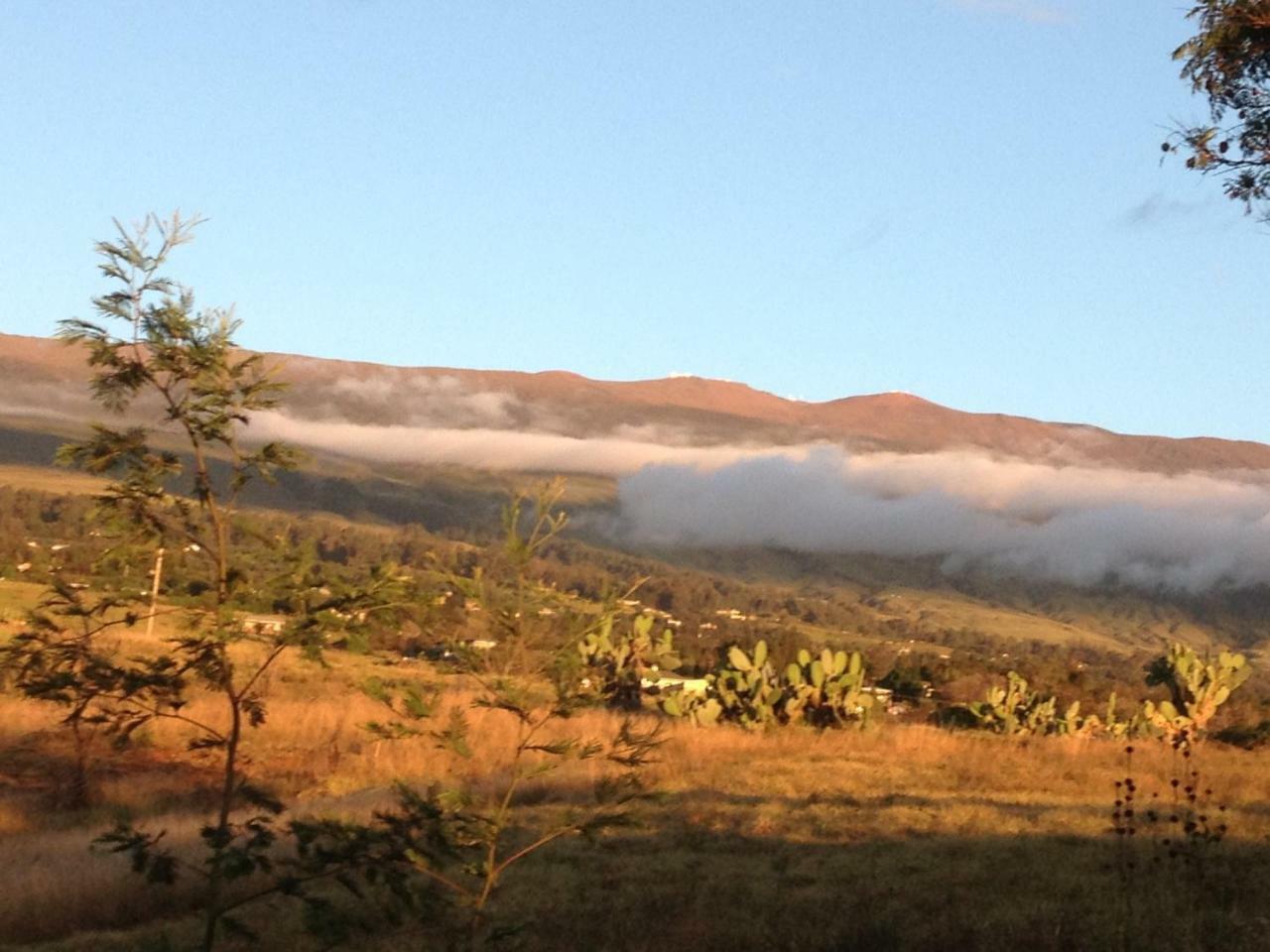 Ha'Le Kiana Bed & Breakfast Kula Eksteriør bilde